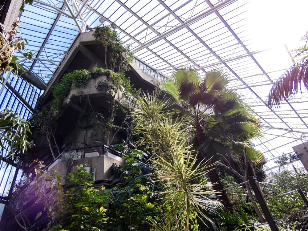 The Barbican Conservatory