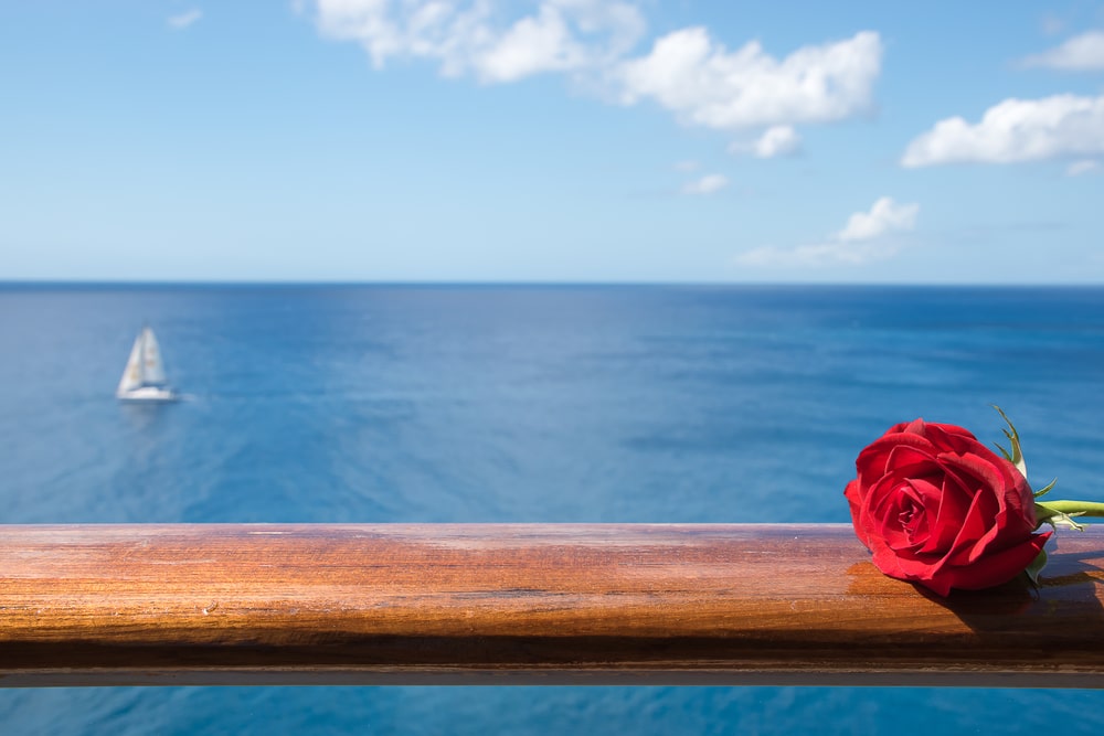 Valentines Day Cruises