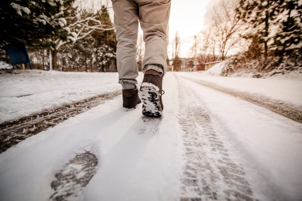 Winter Walks In Royal Parks