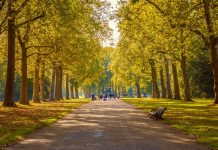 6 Reasons to Visit Hyde Park