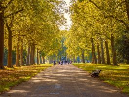 6 Reasons to Visit Hyde Park