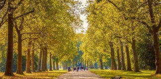 6 Reasons to Visit Hyde Park