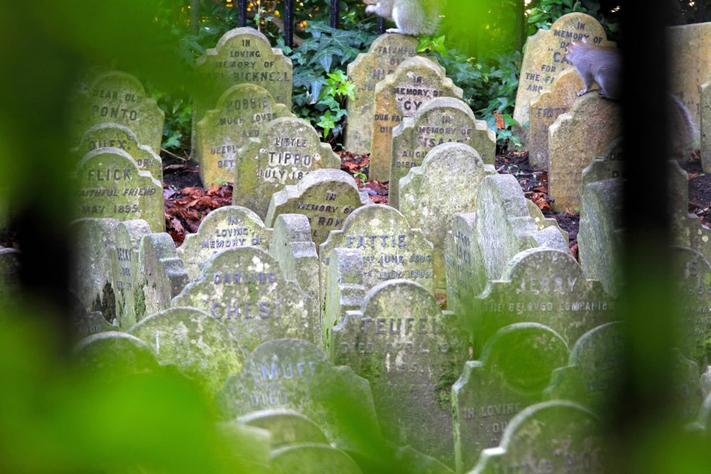 Pet Cemetery