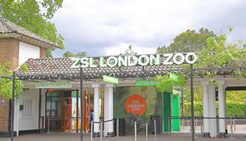 ZSL London Zoo